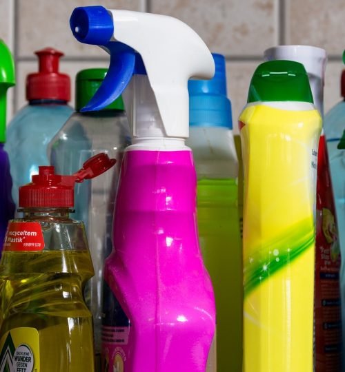 plastic, to clean, environmental pollution-4043071.jpg
